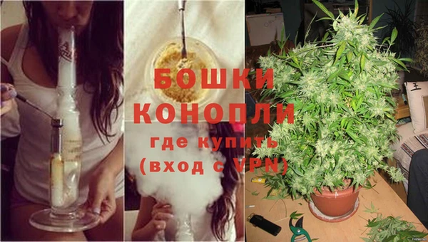 соль ск Кукмор