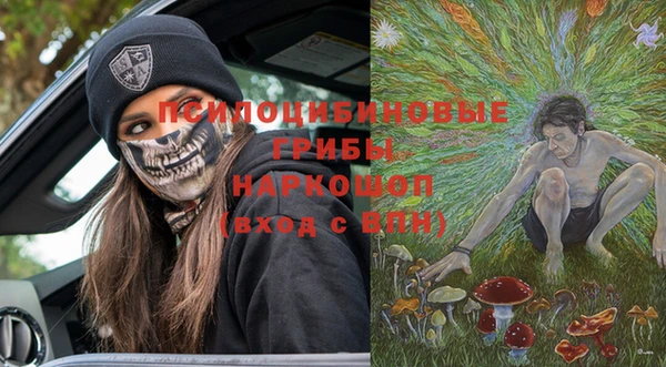 соль ск Кукмор