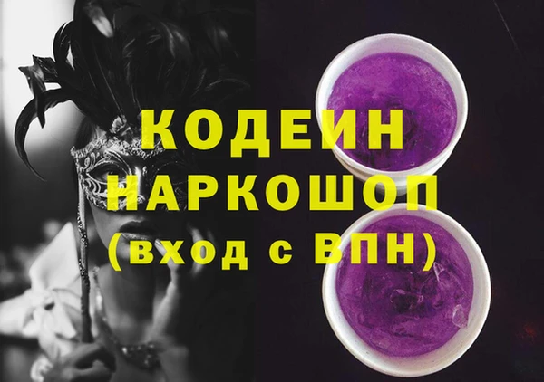 соль ск Кукмор