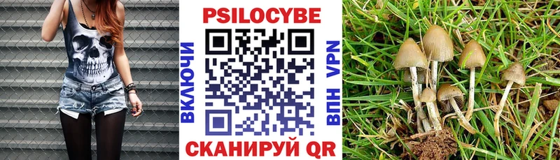 Псилоцибиновые грибы MAGIC MUSHROOMS  закладки  Калуга 