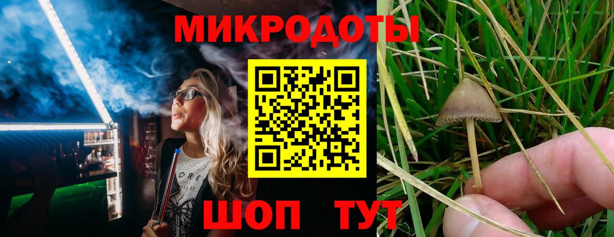 Калуга  Псилоцибиновые грибы Cubensis  Вход с VPN 