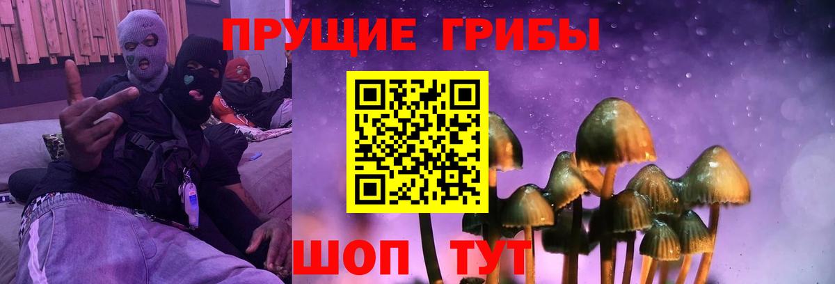 Псилоцибиновые грибы Cubensis Калуга